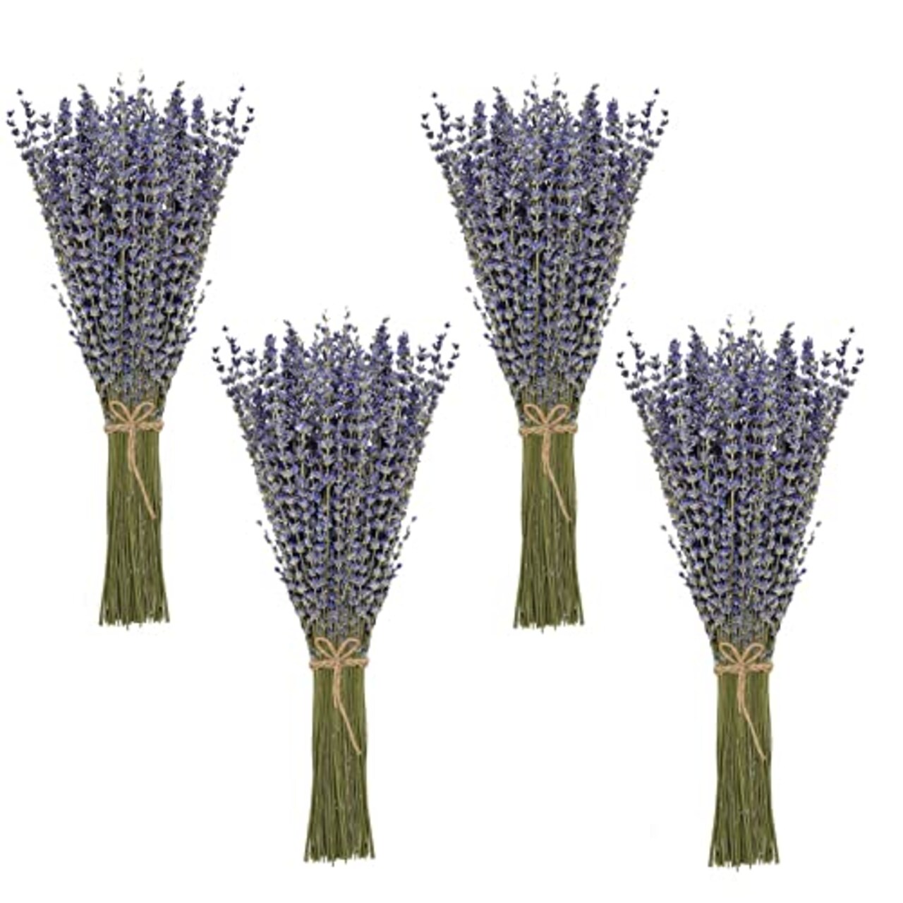 Timoo Dried Lavender Bundles 100% Natural Dried Lavender Flowers for Home  Decoration, Photo Props, Home Fragrance, 4 Bundles Pack